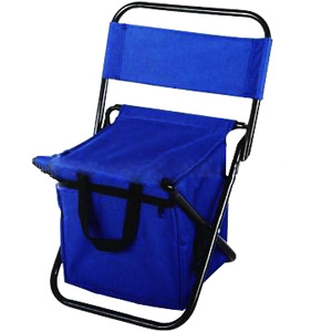 Camping Chair with Bag